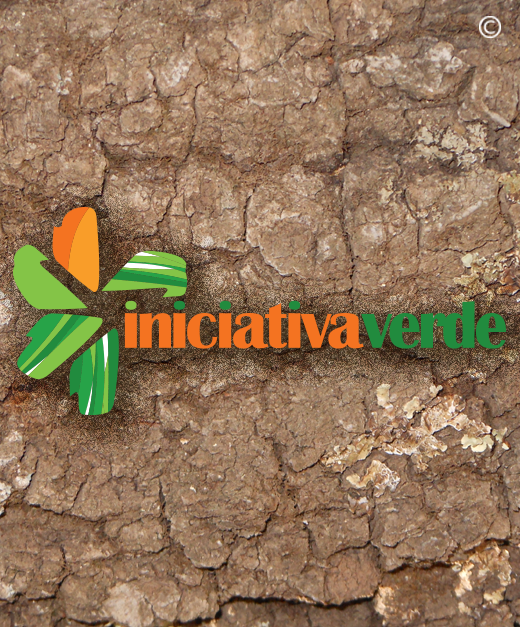 Logo ecológico: INICIATIVA VERDE